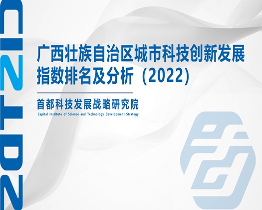 看免费的日女人屄影视【成果发布】广西壮族自治区城市科技创新发展指数排名及分析（2022）